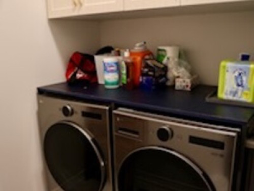 A loving home with lots of pets