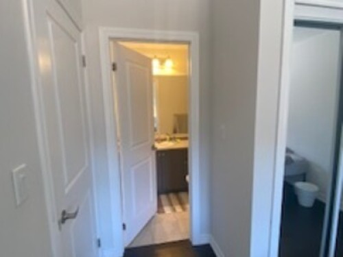 A loving home with lots of pets