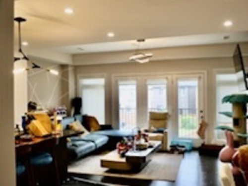 A loving home with lots of pets