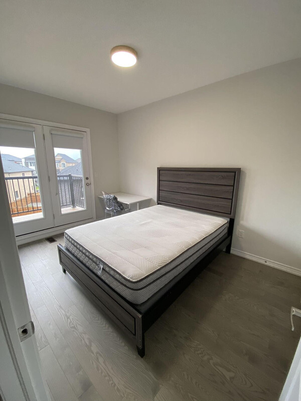  Room 1(Full Room)  -  A loving home with lots of pets  - Gallery -  1