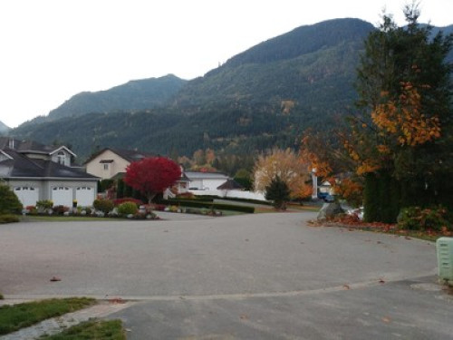 Chinese and Western family recruiting students