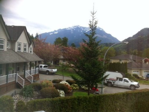 Chinese and Western family recruiting students