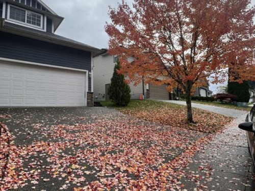  Room for Rent in Chilliwack – Idea