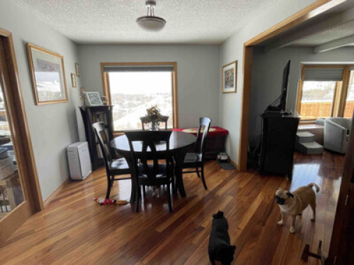 Vegetarian Home  - Gallery -  5