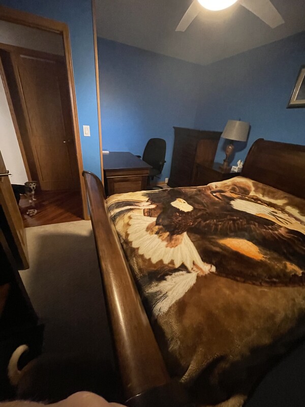  Queen Bed(Single Bed)  -  Vegetarian Home  - Gallery -  1