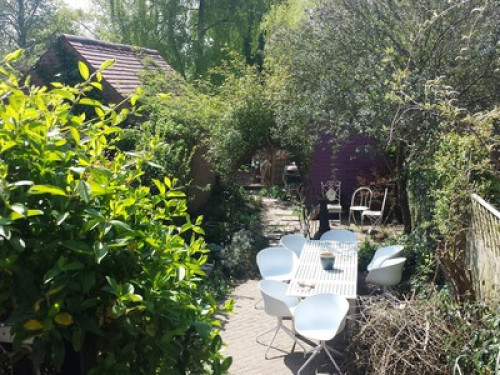 foodie, vegetarian host with cafe