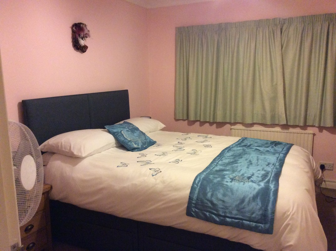 Room 2(Single Bed) - 1