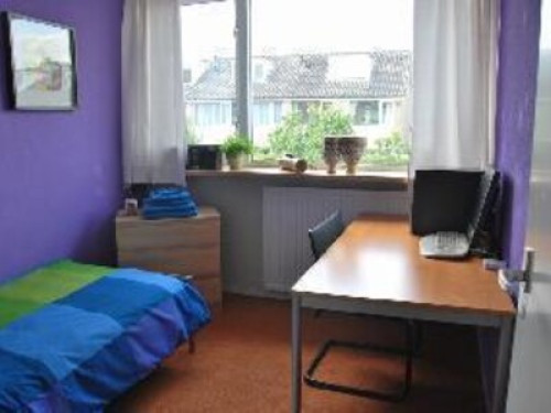 Real Vught family - Gallery - 5