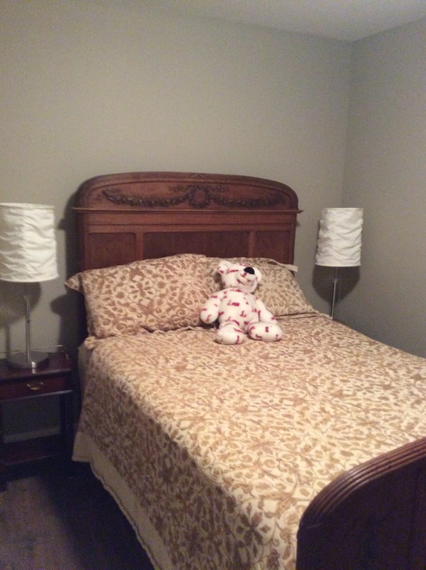  Entire Lower Floor, Media Room, Bedroom, 4 Piece Bath(Full Room)  -  Vivian’s Homestay   - Gallery -  1