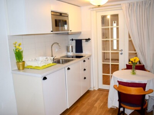 Modern Villa Basement