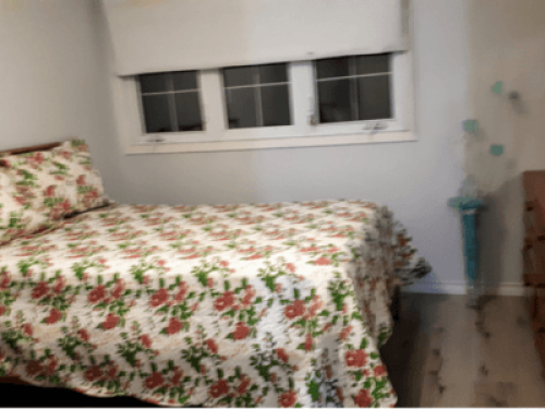 Homestay Host