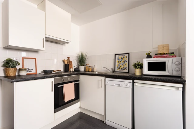 Double Partly Accessible Studio - Shrubhill House Unite - Gallery - 2