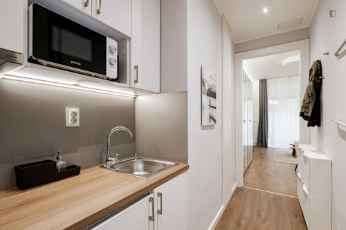 Modern and appealing studio in the heart of Budapest - Gallery - 7