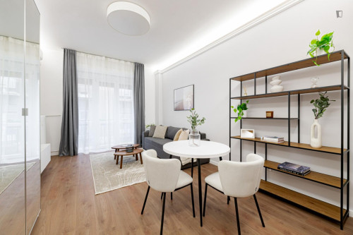 Modern and appealing studio in the heart of Budapest