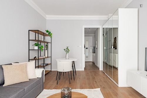 Modern and appealing studio in the heart of Budapest