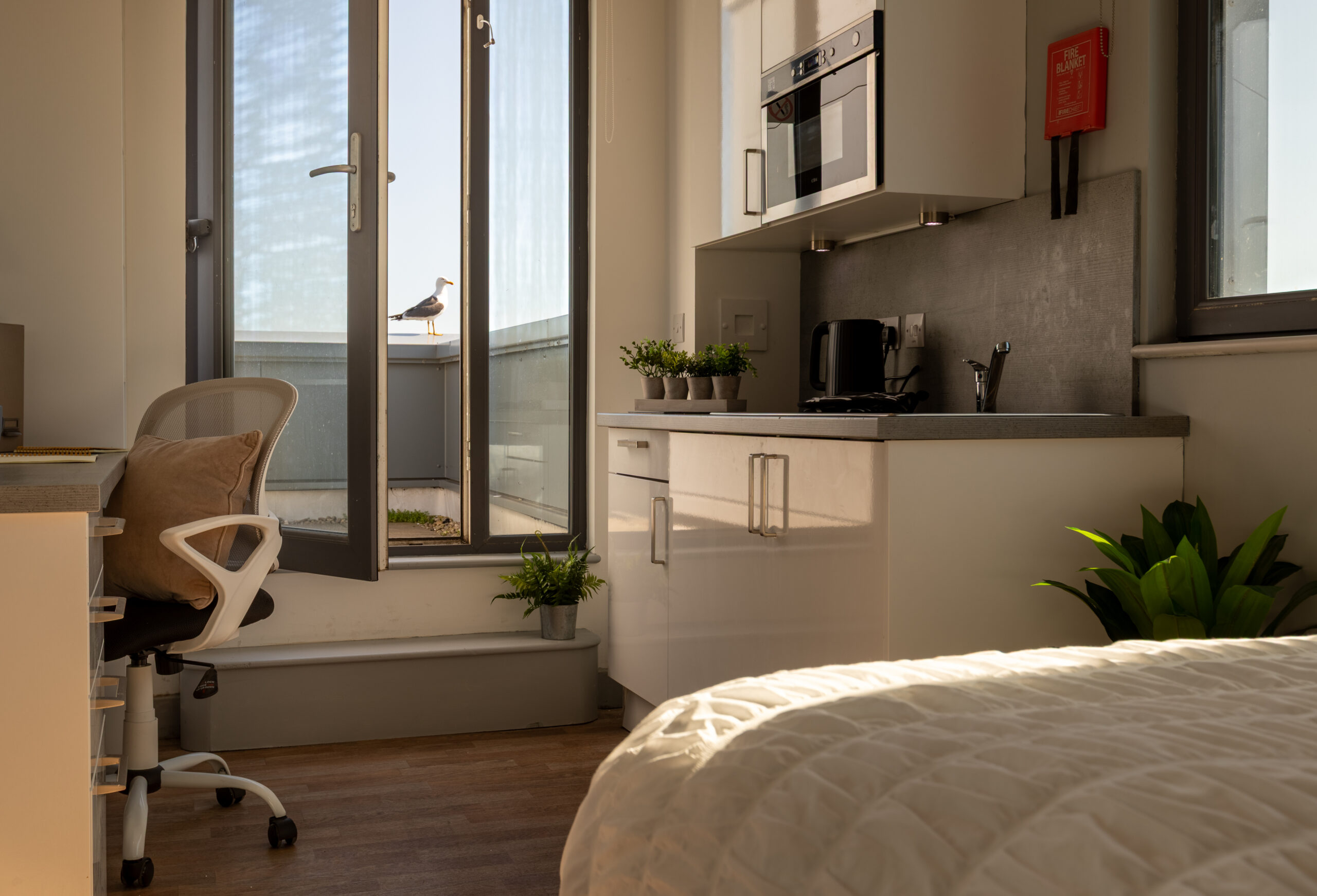 Deluxe Studio - The Bridge Phase II - Gallery - 7