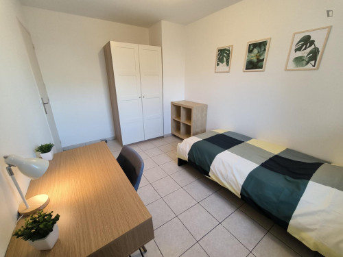 Grenoble- Private bedroom in a cosy shared apartment