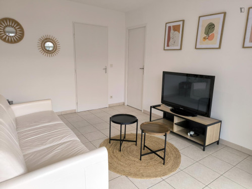 Grenoble- Private bedroom in a cosy shared apartment