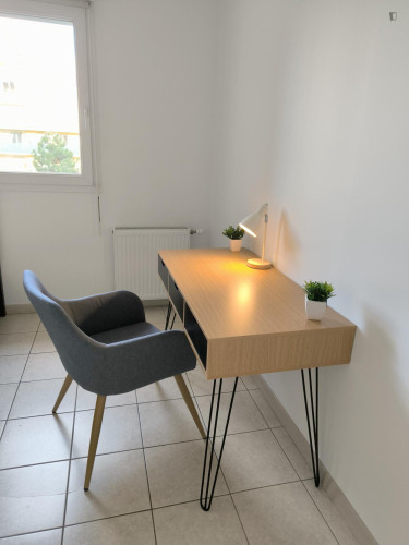Grenoble- Private bedroom in a cosy shared apartment