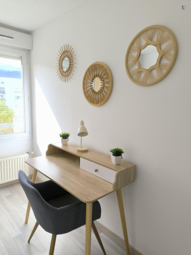 Grenoble- Private bedroom in a cosy shared apartment