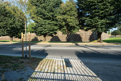 Apartment in Viale Lazzaro Papi, Lucca for 100 m² with 3 bedrooms - Gallery - 19