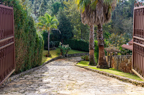 Sublime 3 Bedroom House with a swimming pool close to Dom Luís I Bridge