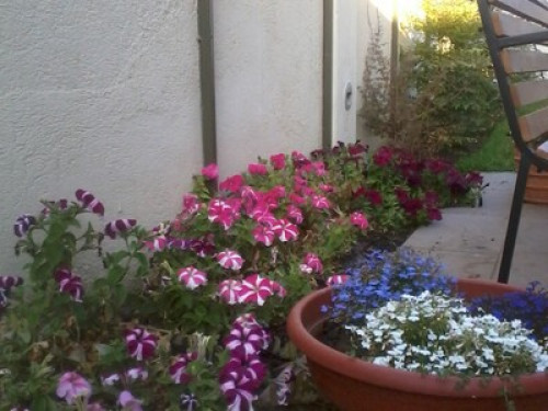Guest house close to beaches and malls - Gallery - 10