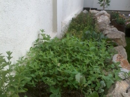 Guest house close to beaches and malls