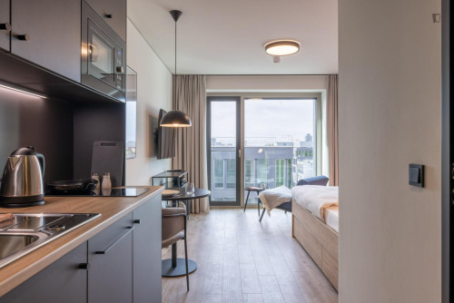Neat and cosy studio in Milbertshofen-Am Hart - Gallery - 17