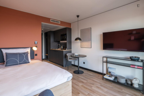 Neat and cosy studio in Milbertshofen-Am Hart - Gallery - 18