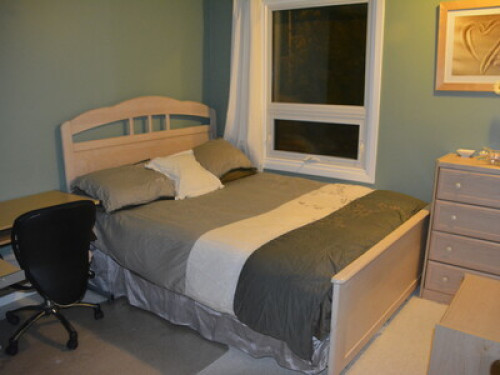 Fun, Caring Family - Great homestay  - Gallery -  5