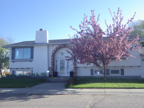 Fun, Caring Family - Great homestay