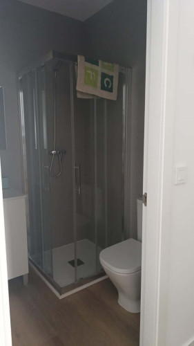 Calle Daoíz ( private bathroom) - Gallery - 26