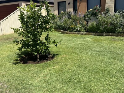 room-for-rent-perth-95278665820250123022818AM