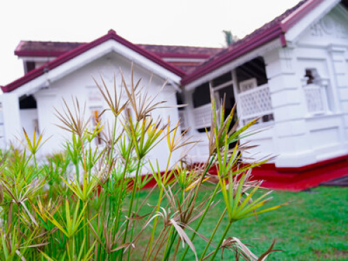 Waidyaratne homestay - Gallery - 11