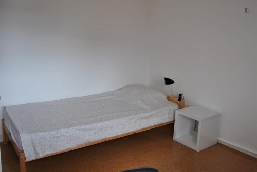 Pleasant single bedroom not too far from ESE