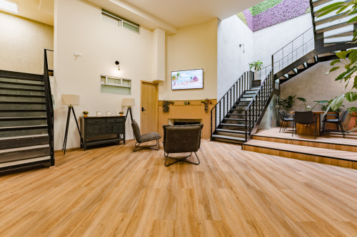 Carlos B. Zetina Residence - Gallery - 18