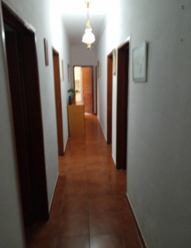 6 Bedroom Apartment with outdoor area