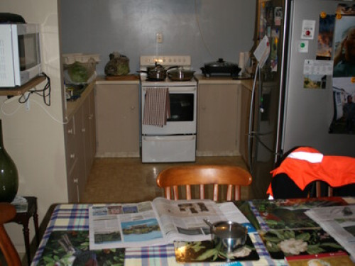 A slice of NZ in the biggest city.