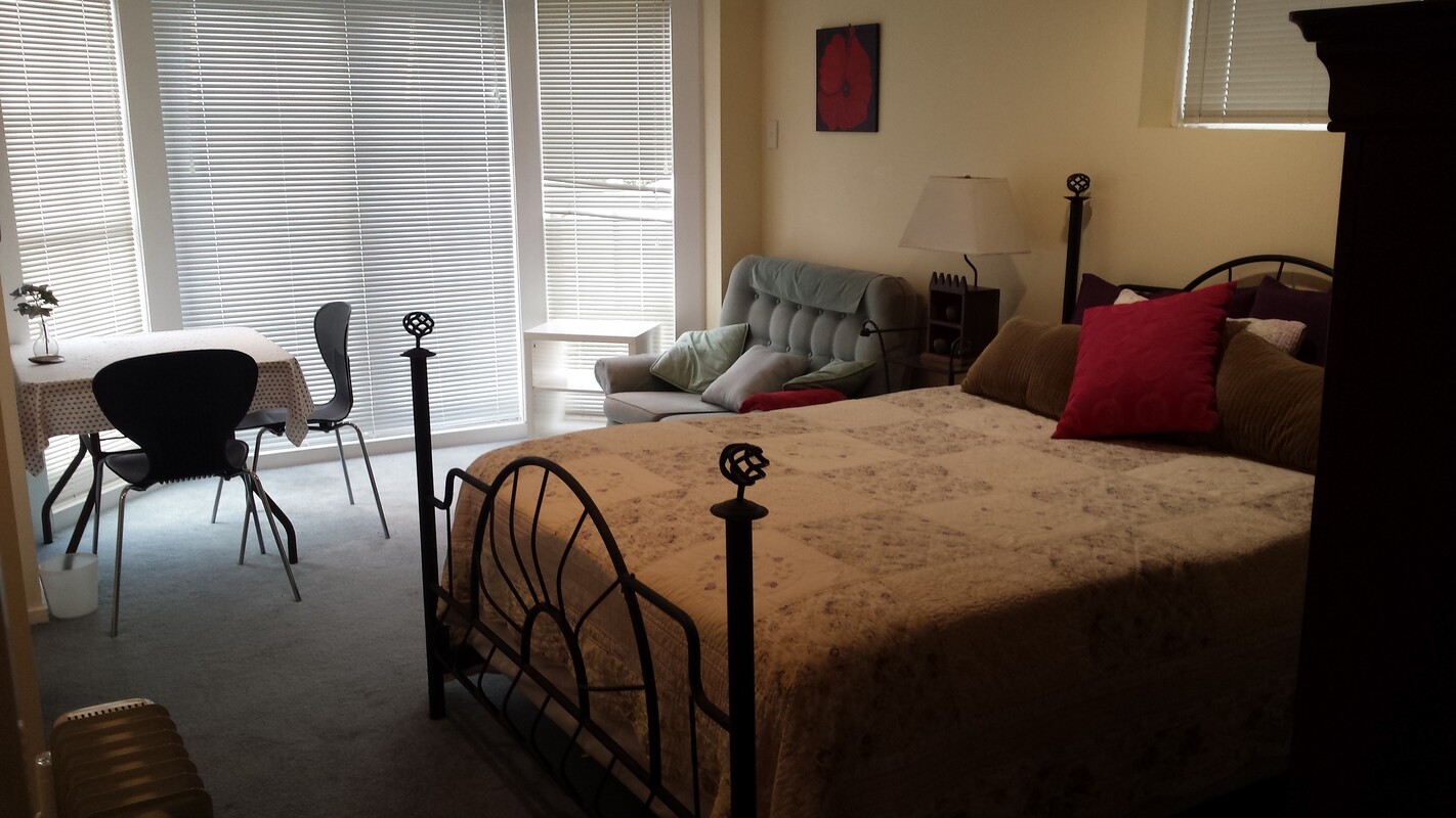 Downstairs Room (mini Apartment)(Full Room) - 1