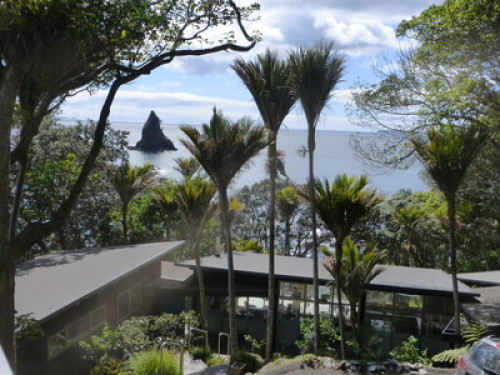 affordable wakeup with an oceanview - Gallery - 6