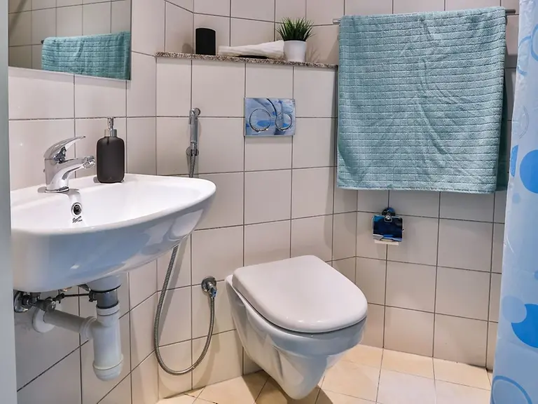  Studio En-Suite  -  Dubailand  - Gallery -  3