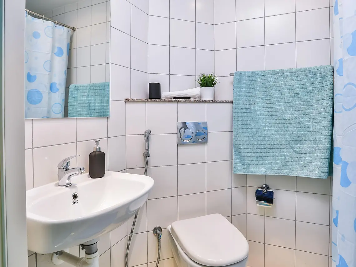  Single Large Ensuite Room  -  Dubailand  - Gallery -  3