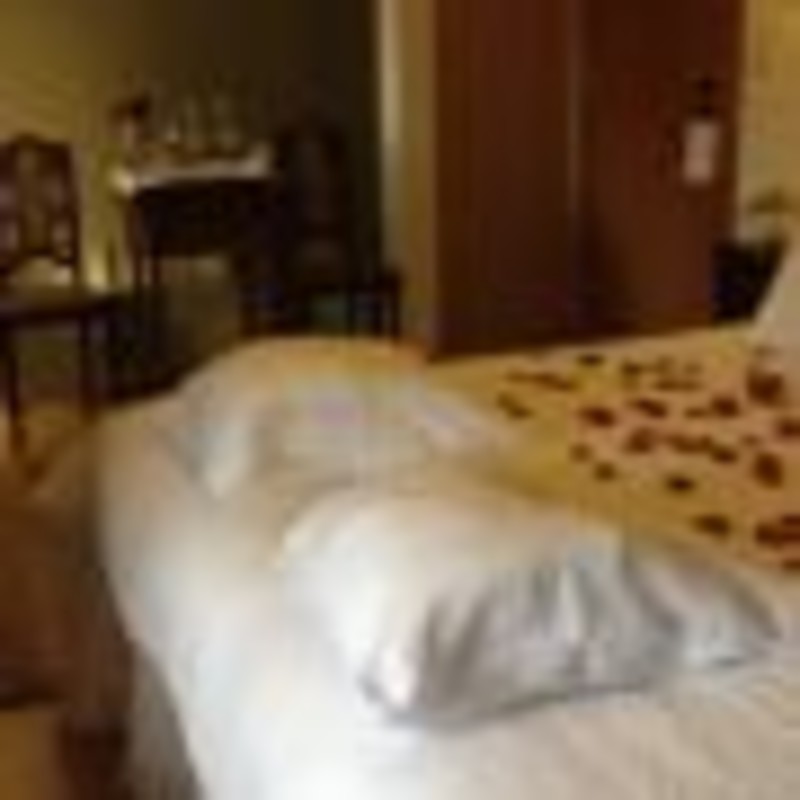 ROOM MOUNTAIN VISTA - BALCONY(Single Bed) - 1