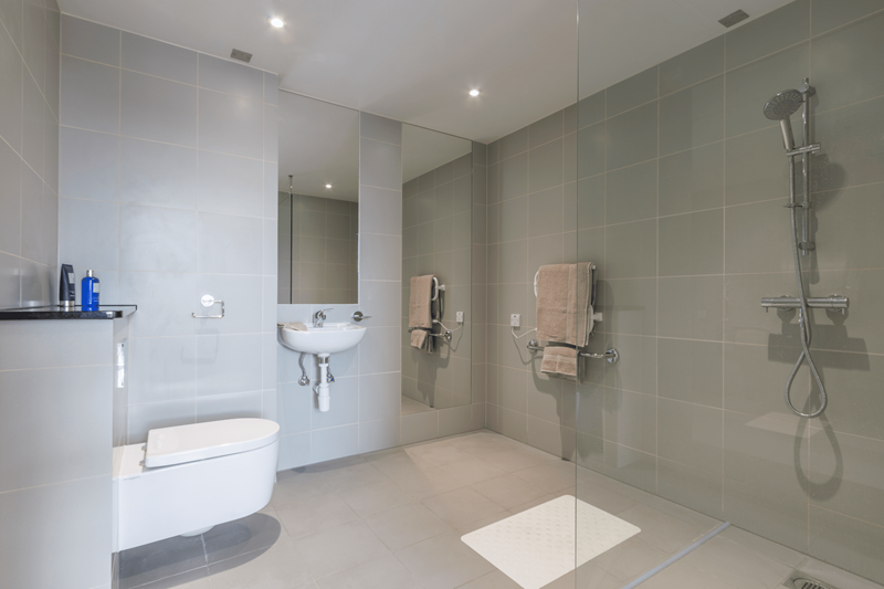  Silver Deluxe Accessible  -  Portchester House  - Gallery -  3