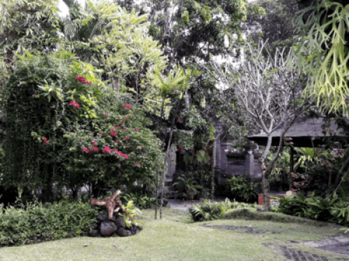 Canang Sari Homestay - Gallery - 10