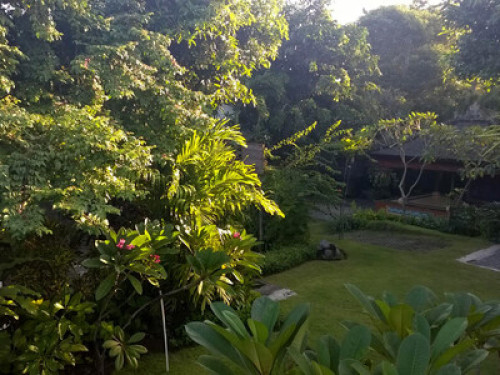 Canang Sari Homestay - Gallery - 26
