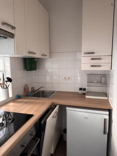 Brilliant studio in Rudolfsheim-Fünfhaus - Gallery - 6