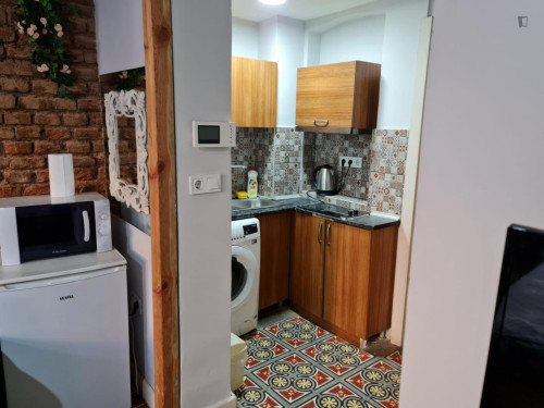 Charming Studio close to Istiklal Street - Gallery - 6
