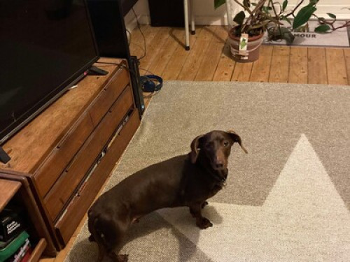 Central location in Brighton